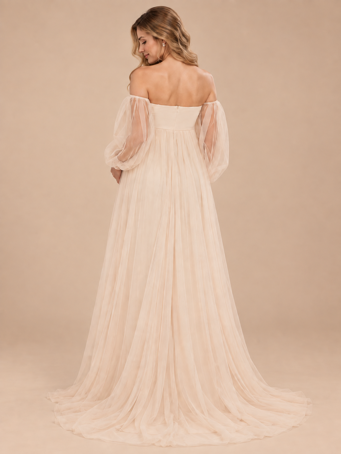 Anouk Champagne maternity dress — back view showing the center zip and sweep train
